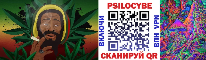 как найти закладки Звенигово Псилоцибиновые грибы прущие грибы